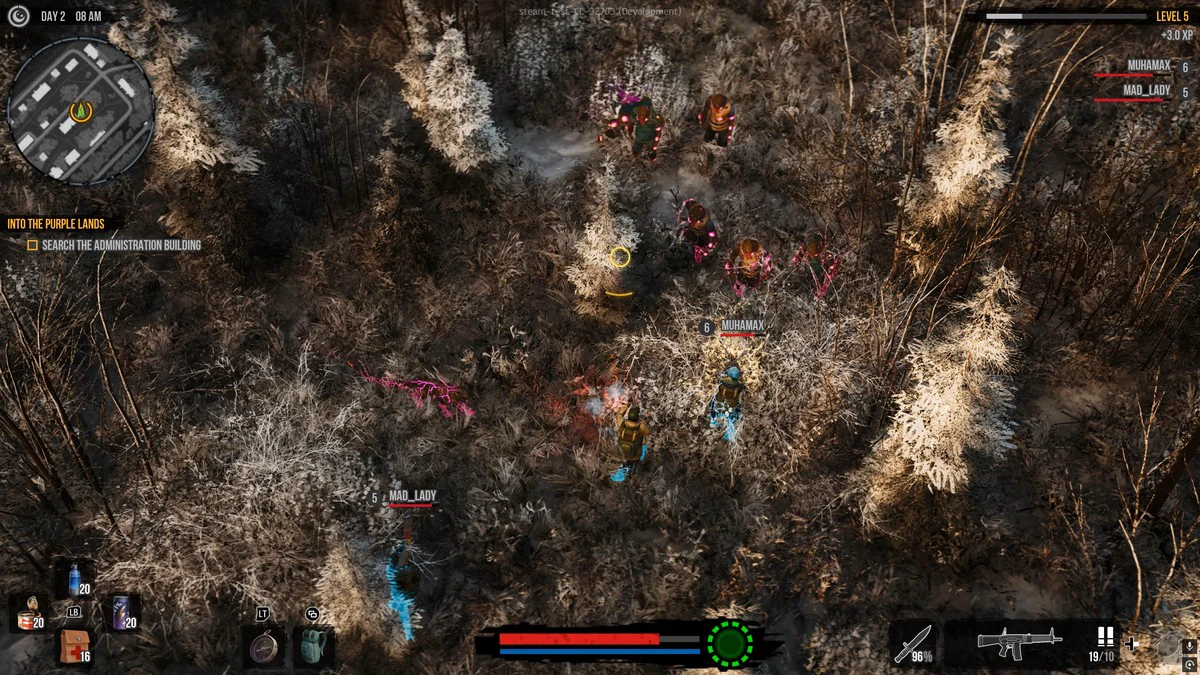 Image 13 from collection