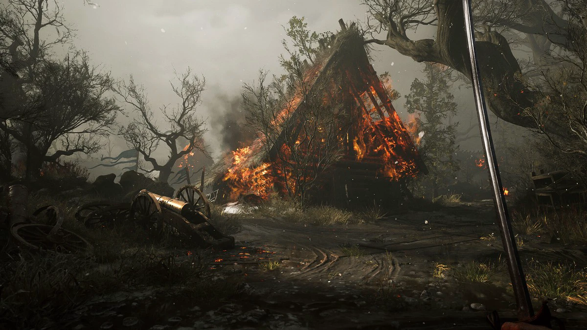 Image 4 from collection