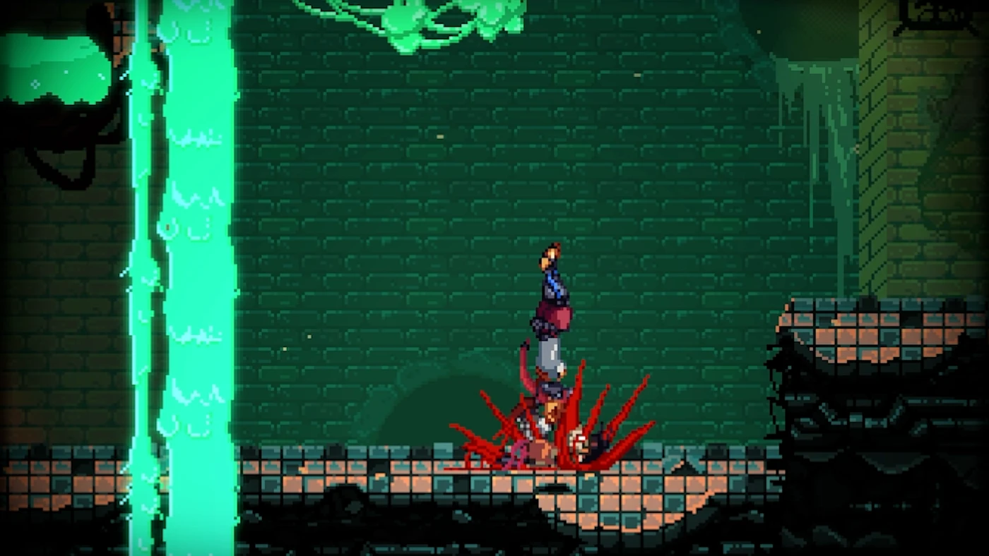 Image 13 from collection