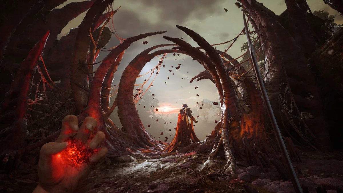 Image 6 from collection